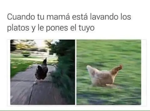compilado