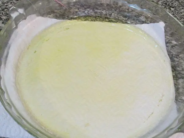 repollo