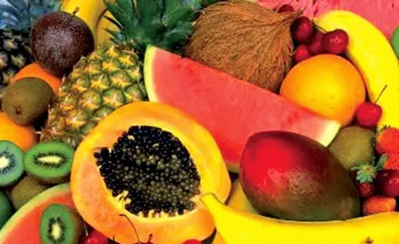 alimento alimento