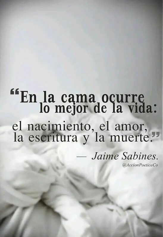 frases