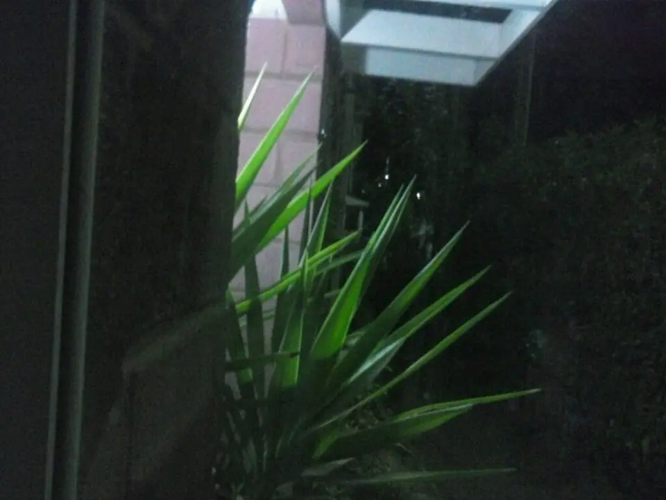 caso paranormal