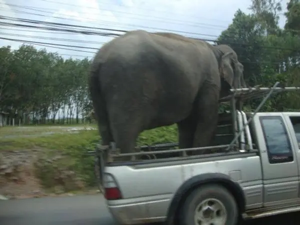 ¡ Los 15 transportes mas sobreexplotados del mundo !