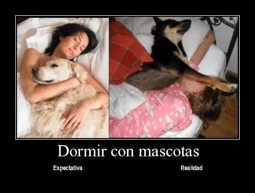 dormir