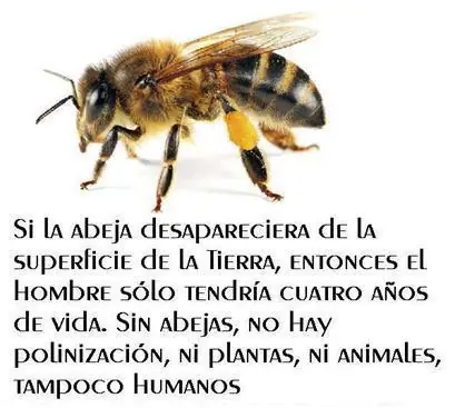 Reite con estas imagenes