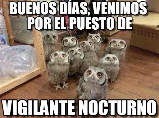 memes