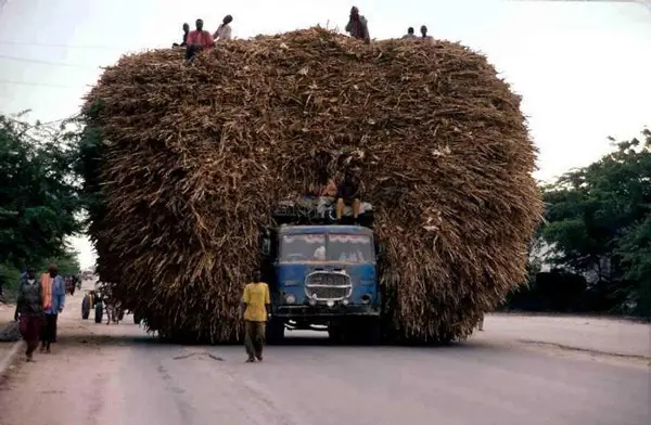 transporte