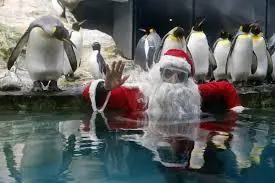Los PINGUINOS van a dominar el mundo