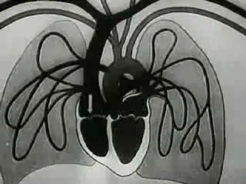 Documental: Experiments in the Revival of Organisms Documental: Experiments in the Revival of Organisms
