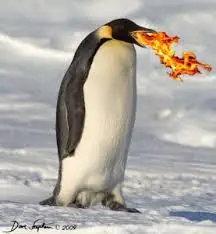 Los PINGUINOS van a dominar el mundo