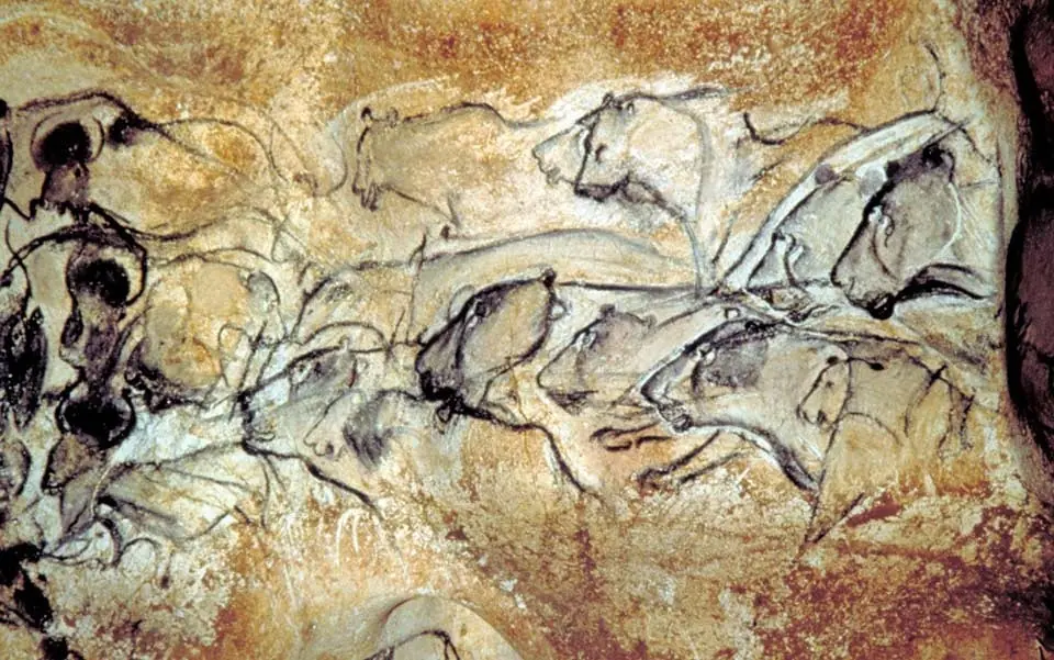 el animal mas inteligente del mu