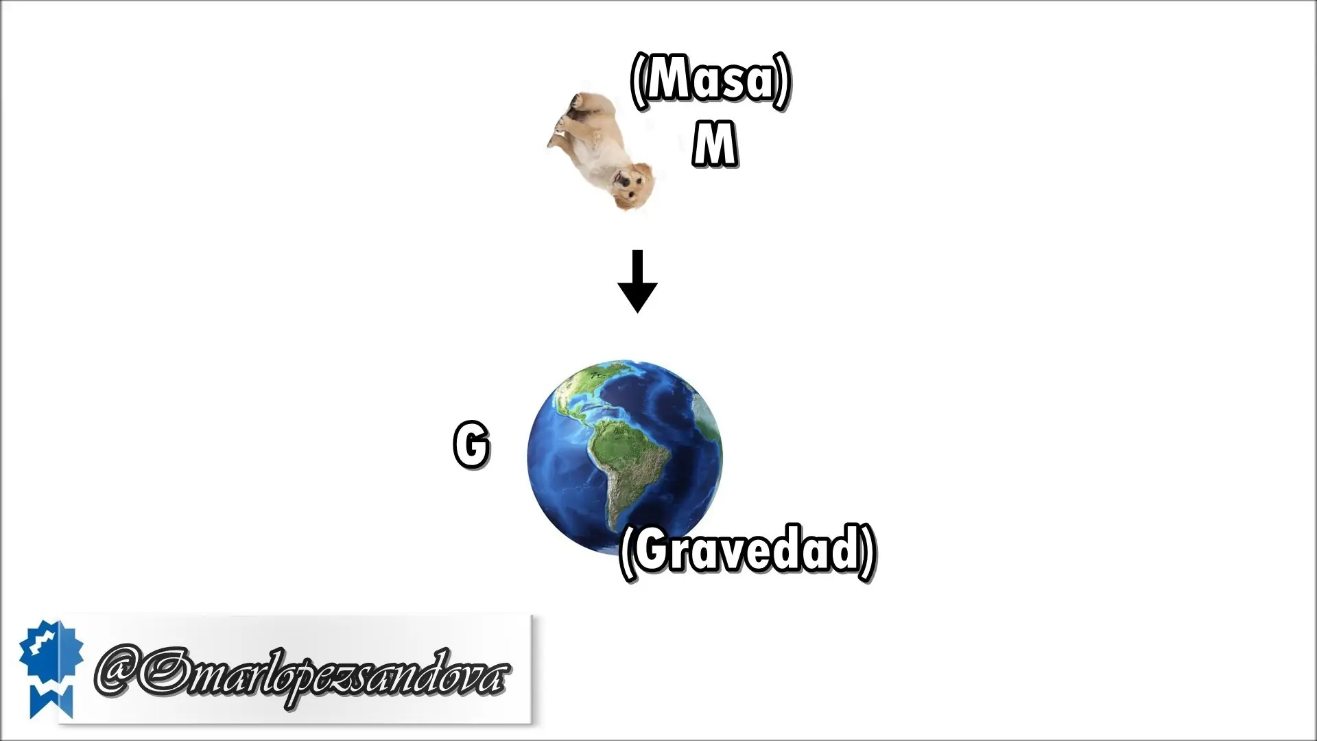 fisica fisica