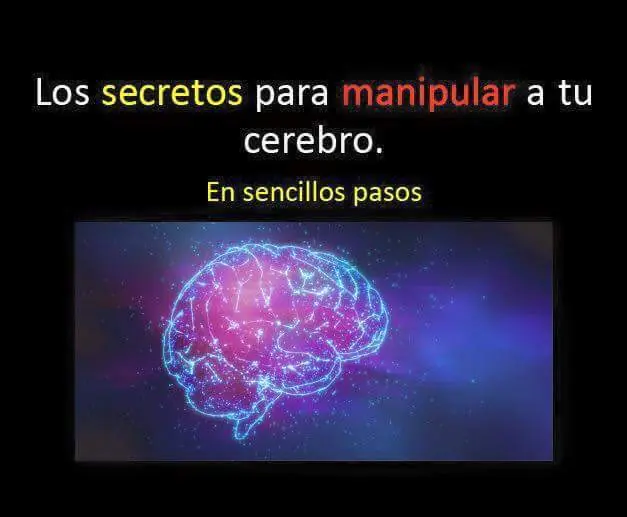 cerebro