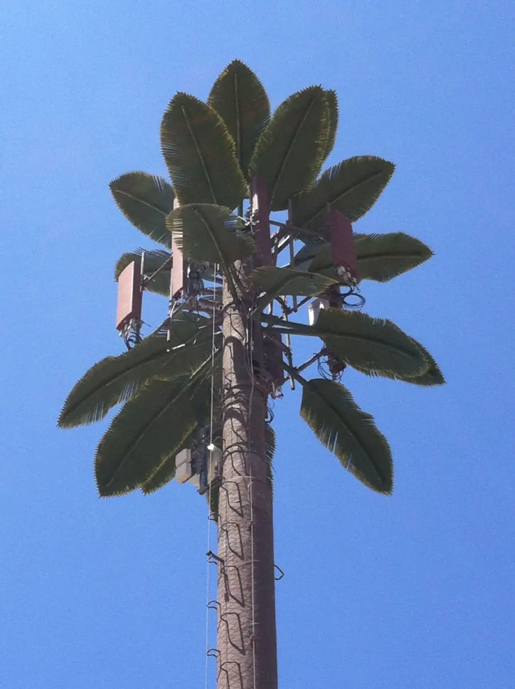 Antena