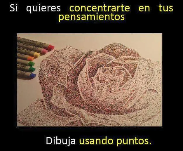 Hackea tu cerebro capo, pasa y aprende