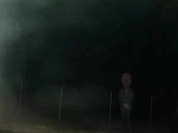 paranormal paranormal
