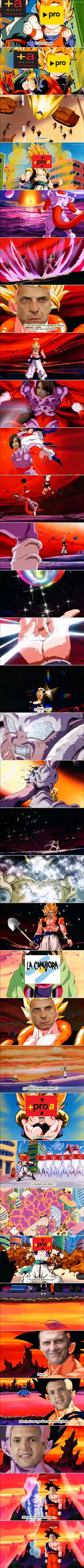 lanata