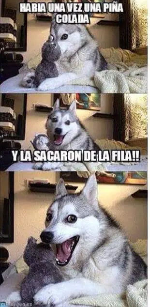 meme pepe raro