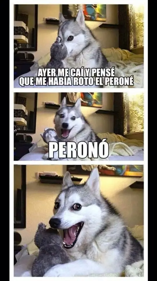 meme chavo leyendo