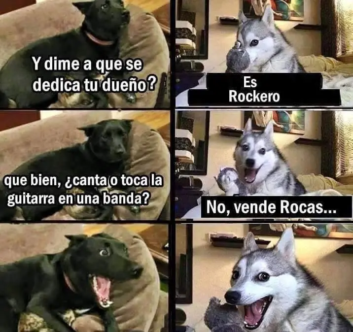 meme chiguagua