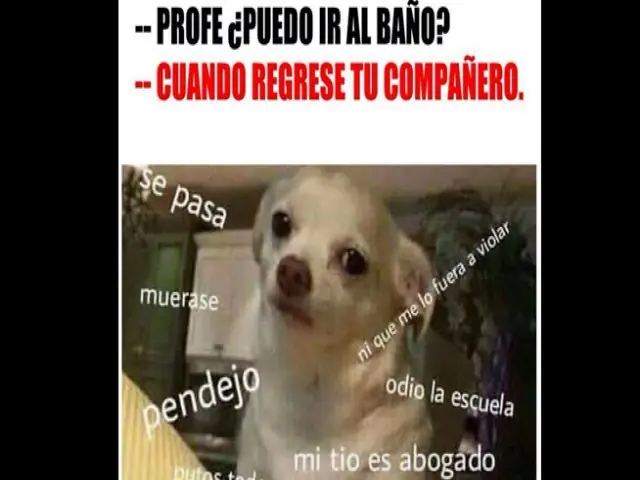 meme bardock