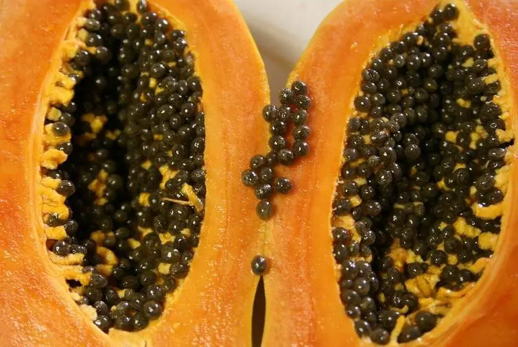 Beneficios de las semillas de PAPAYA