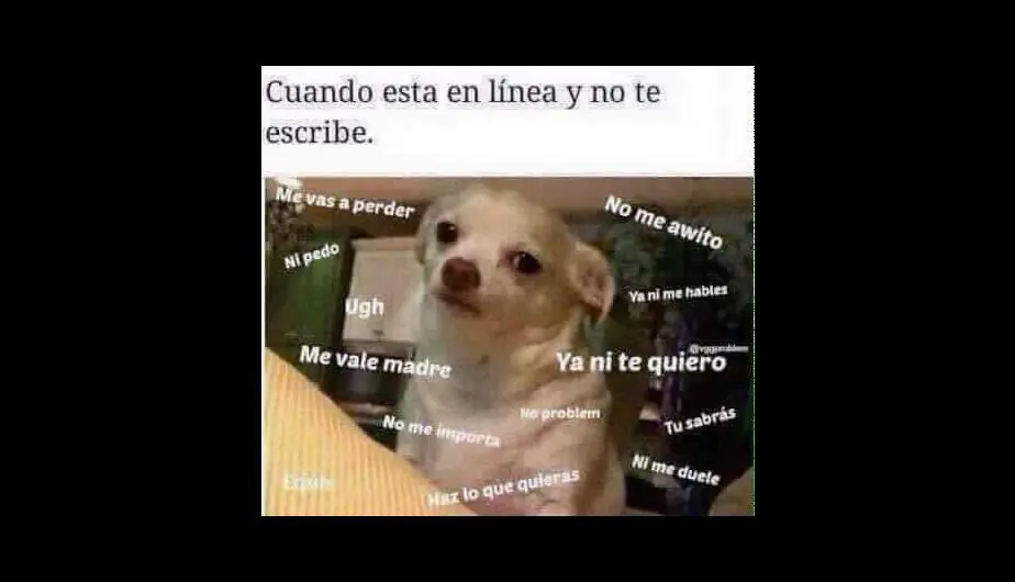 meme pepe raro