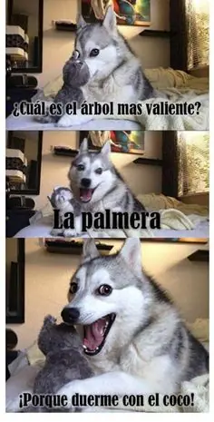 memes explotados