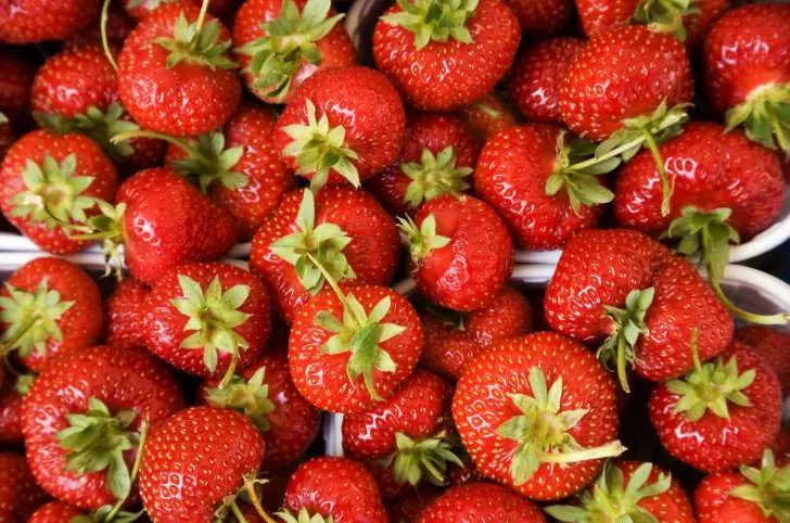 Alimentos sanos