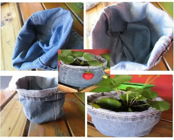 Hace tu propia huerta-Propio-Matilda