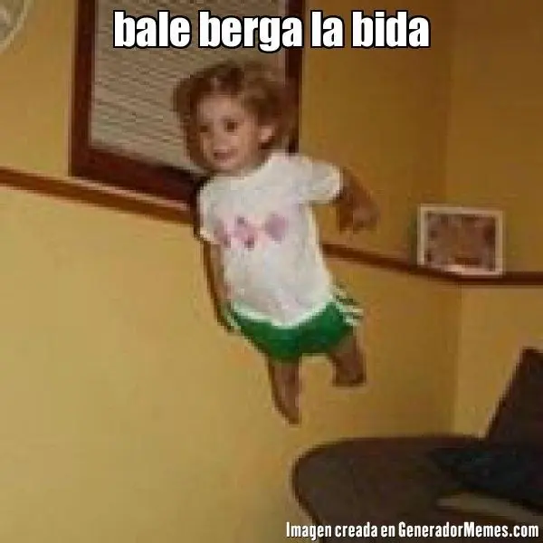 Bale berga la bida