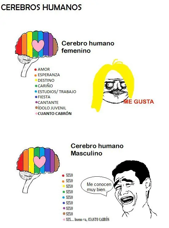 taringa