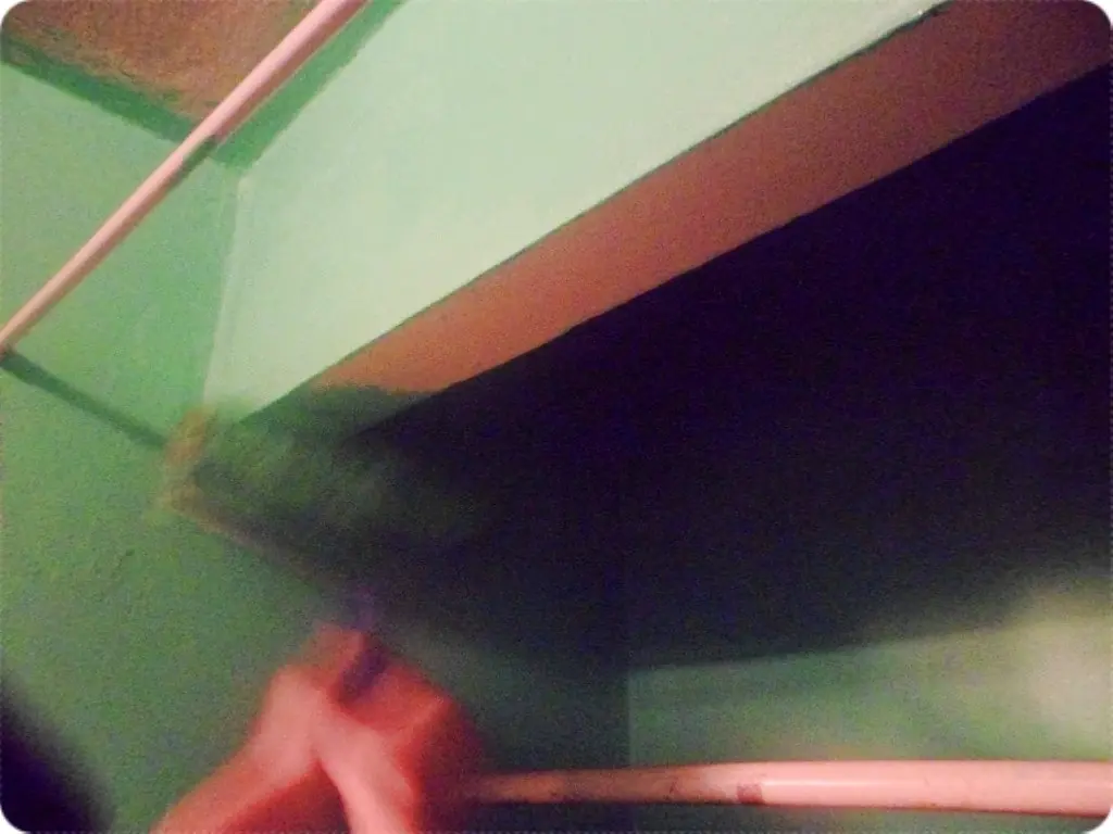 pintar