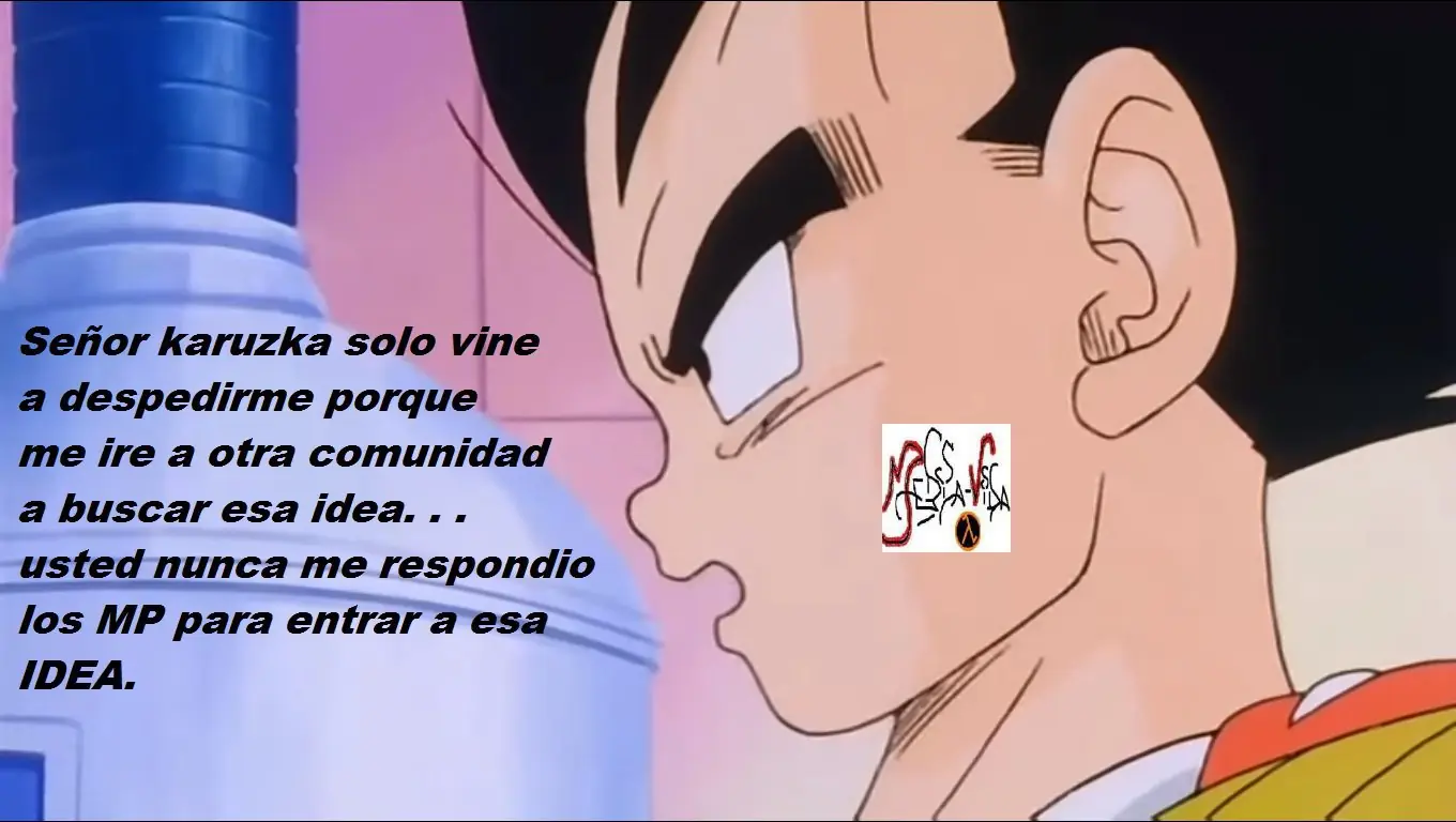 creadores creadores