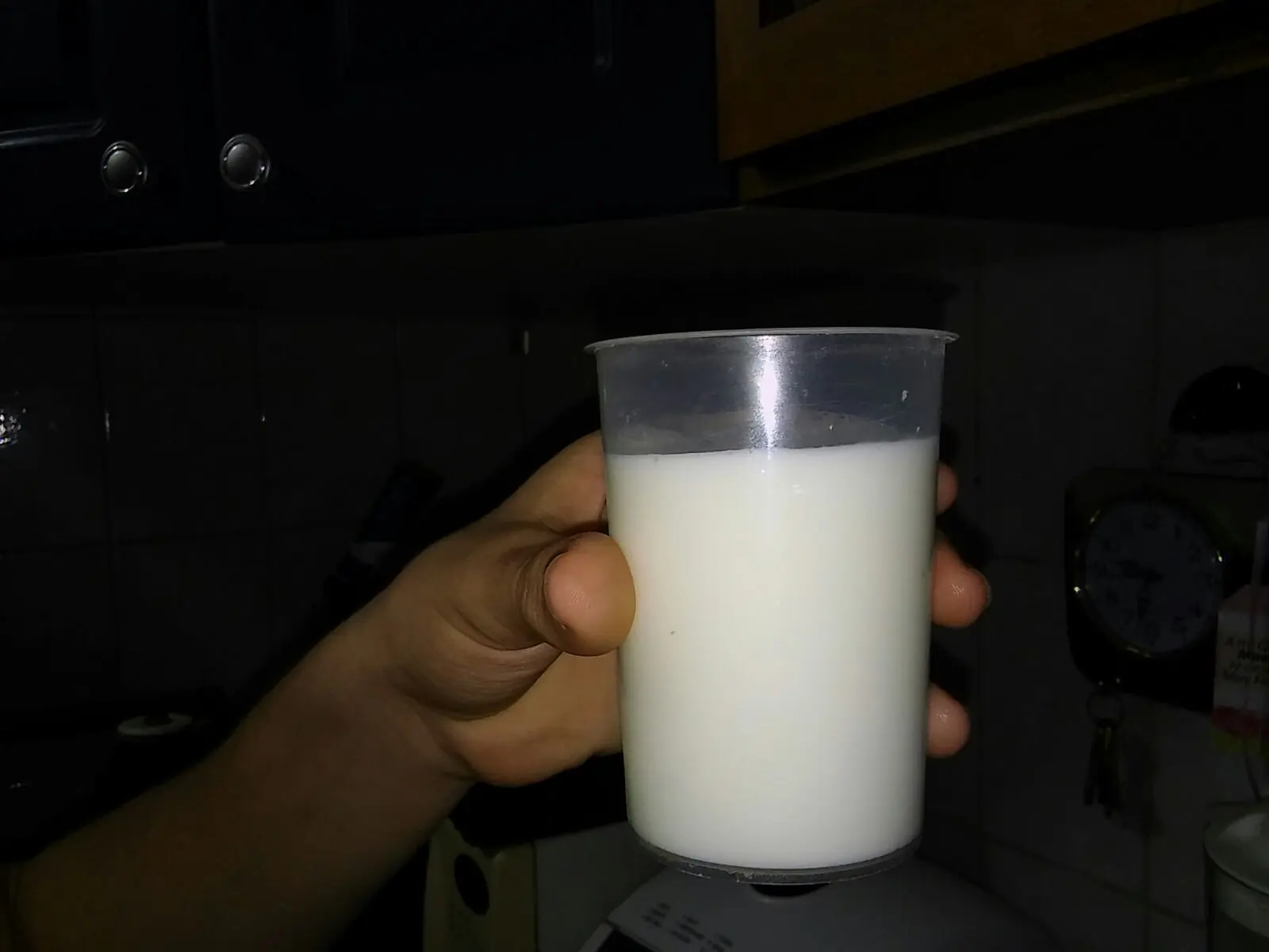 Hice un helado casero y te lo muestro (Megapost).