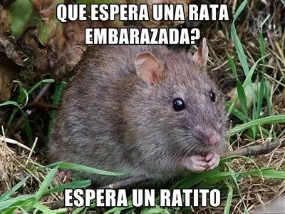 imagenes