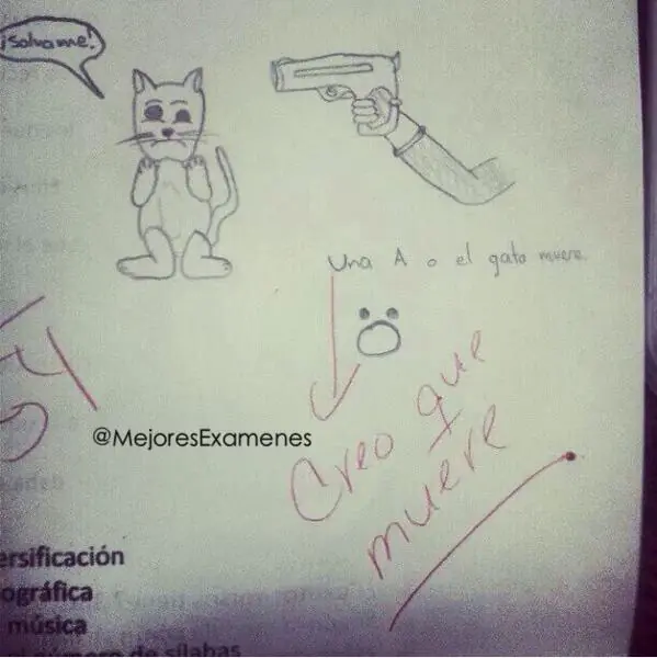 Las mejores respuestas a los exámenes