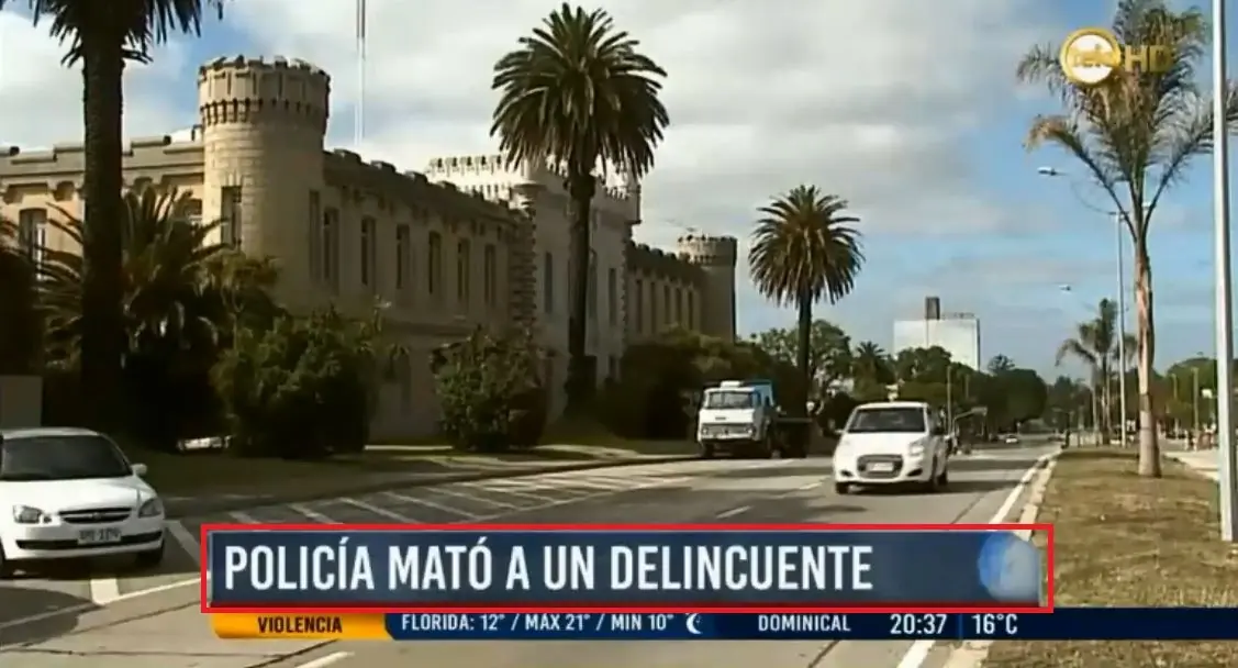 delincuencia delincuencia