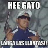 Los delincuentes villeros son terroristas encubiertos.