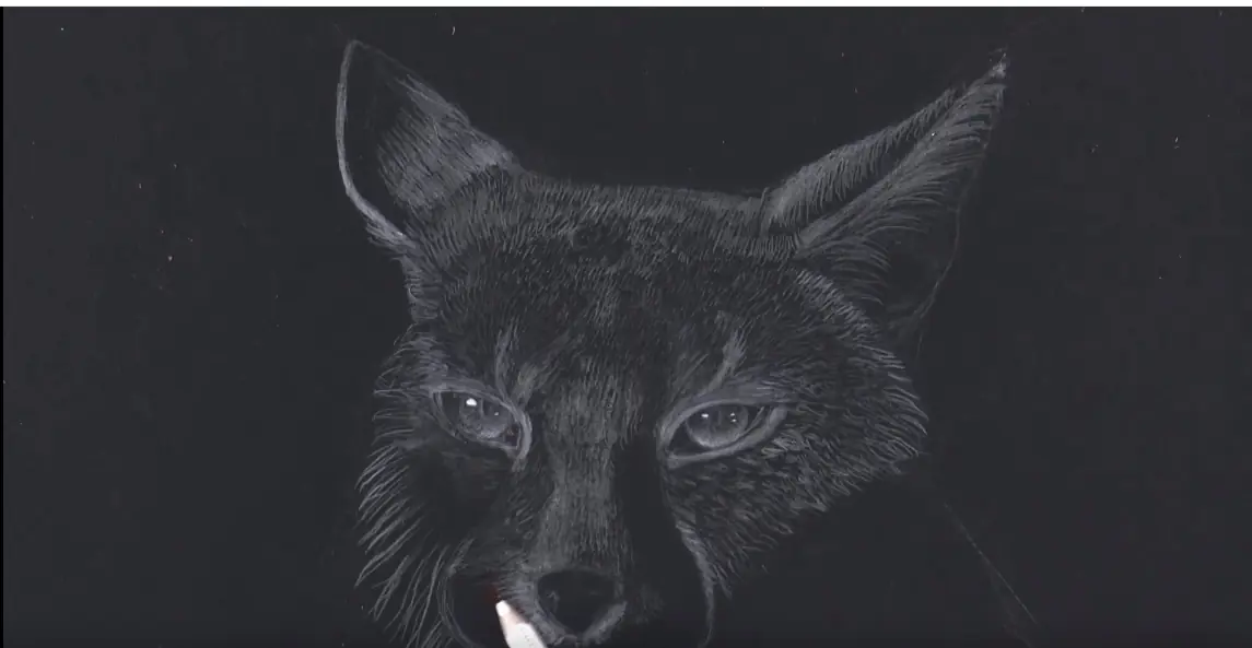 Cómo dibujar un lince, Pasa que te enseño