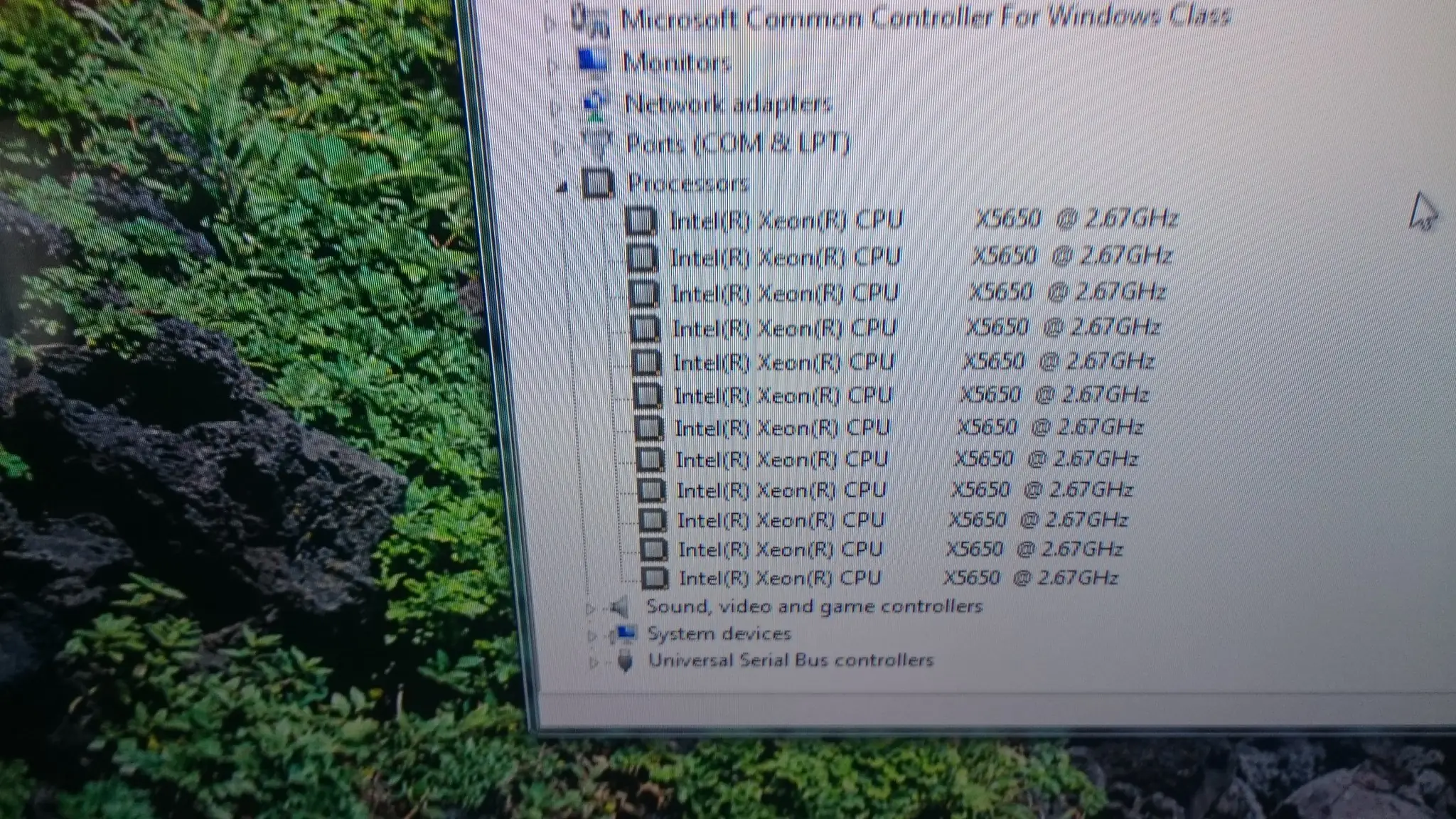 pc master race