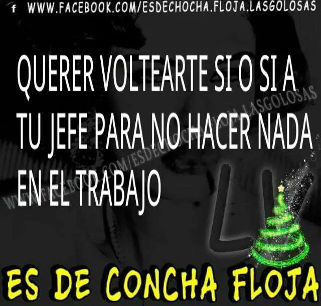 Es de concha floja