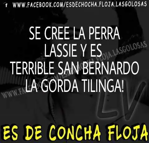 Es de concha floja