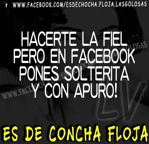 concha