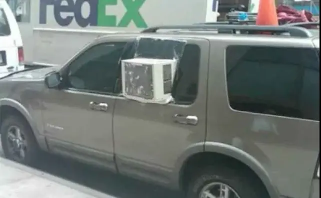 No se si es inteligencia o estupideces