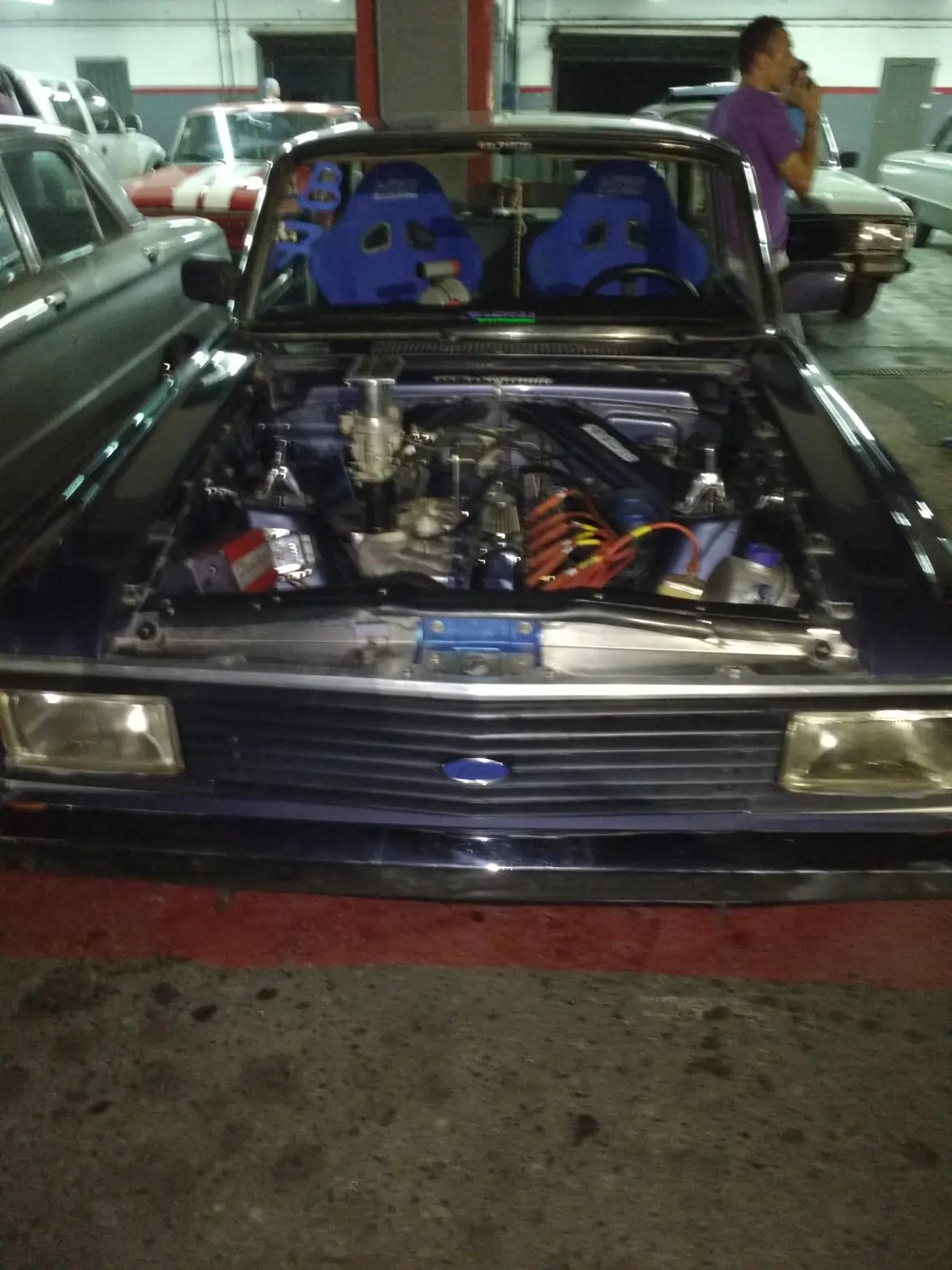falcon