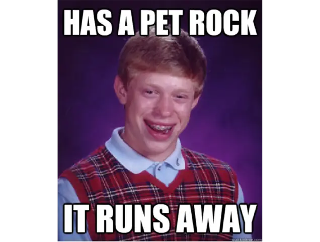 memes memes