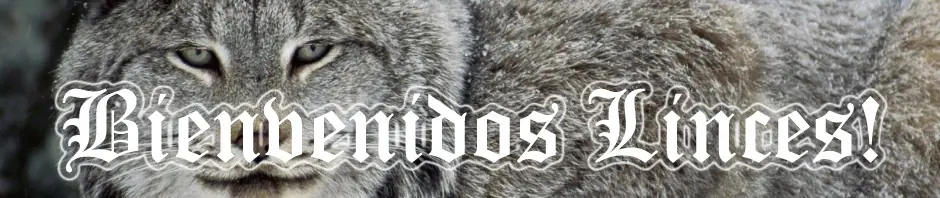 20 Cursos de programación gratuitos online