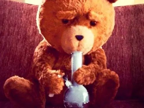 Hagamos Top al Oso TED por todo esto...