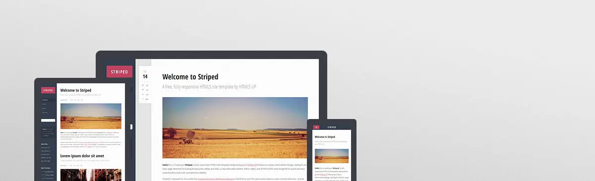 HTML5
