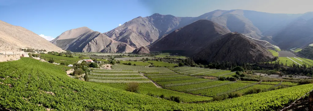 Historiador argentino: El pisco nació en Chile(Valle Elqui)